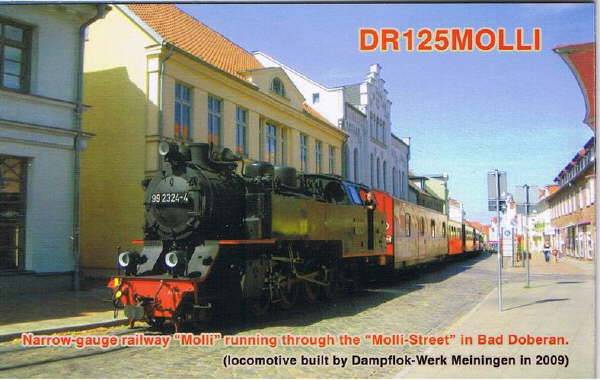DR125MOLLI-1